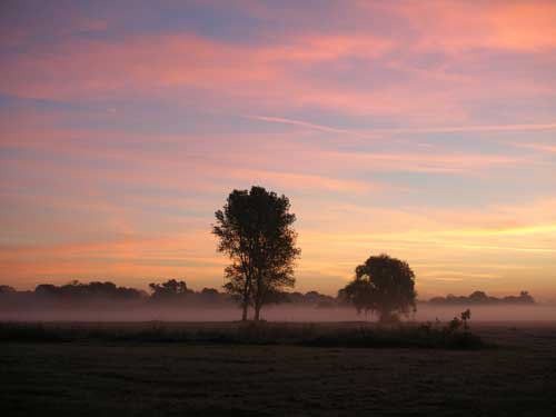 Morgenstimmung in der Aue